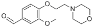 1H-Indene-1-carboxylic acid, 5-amino-2,3-dihydro-